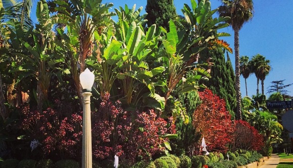 Larchmont Village