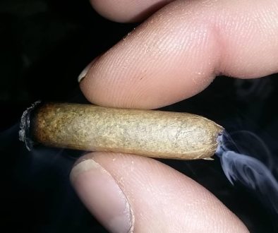 what is a cannagar
